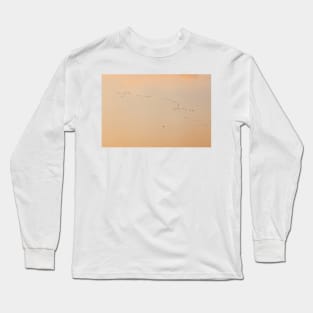 Flock of birds ans plane against orange sky Long Sleeve T-Shirt